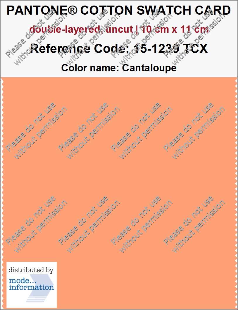 PANTONE COTTON SWATCH CARD 15-1239 TCX Cantaloupe (double-layered, uncut | 10 cm x 11 cm)